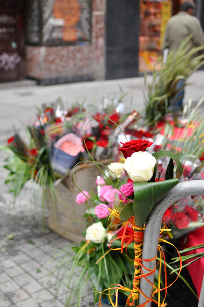 Sant Jordi　〜恋人たちの日〜_c0209272_1785839.jpg