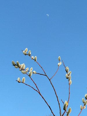 f0083977_23481612.jpg