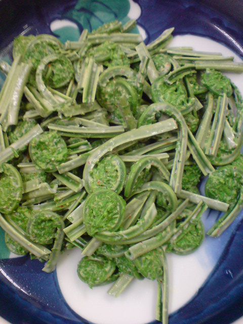 いよいよ山菜シーズン!まずはコゴメの季節です。_d0182179_18401167.jpg