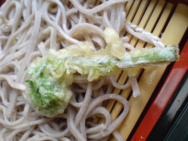 いよいよ山菜シーズン!まずはコゴメの季節です。_d0182179_1851735.jpg