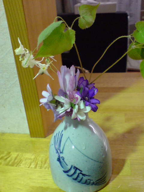 いよいよ山菜シーズン!まずはコゴメの季節です。_d0182179_1853916.jpg