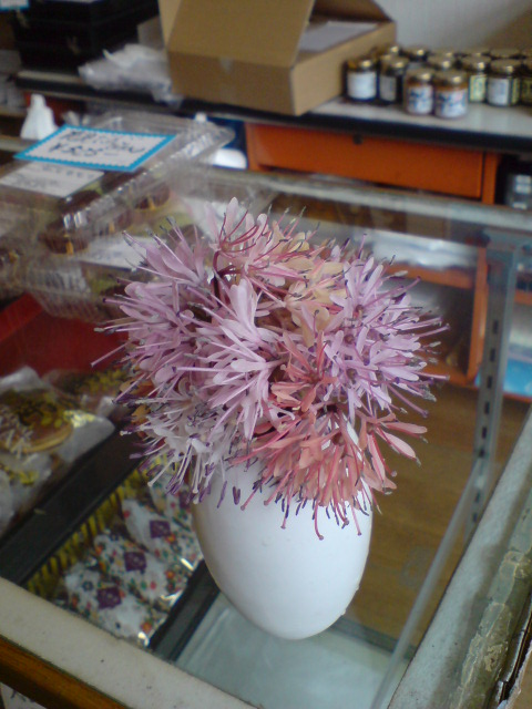 いよいよ山菜シーズン!まずはコゴメの季節です。_d0182179_185599.jpg