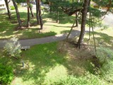 緑のトンネル_a0138490_14202423.jpg