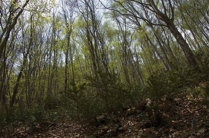 b0217090_1012132.jpg