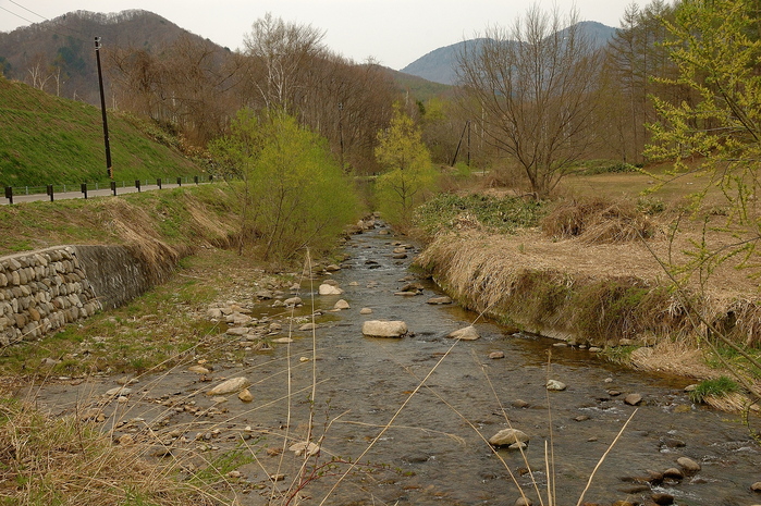 b0217090_19491877.jpg