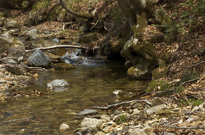 b0217090_956176.jpg