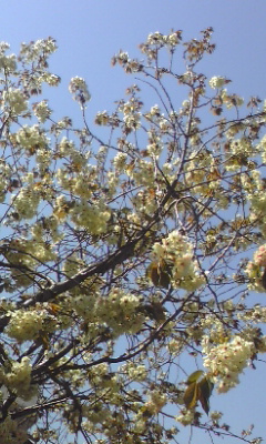e0054290_23103639.jpg