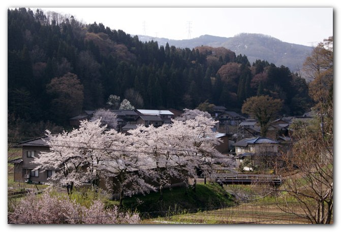 卯辰山～二俣～荒山～県境_f0079990_9591412.jpg