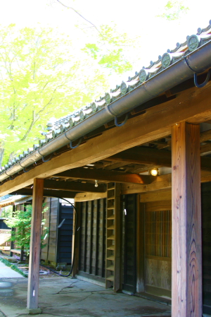 d0133693_1712014.jpg