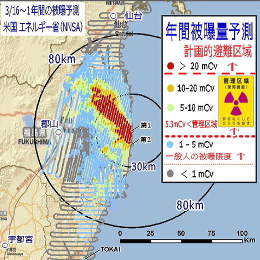 放射性物質拡散予想図_e0171497_836814.jpg