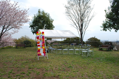 d0227298_1740204.jpg