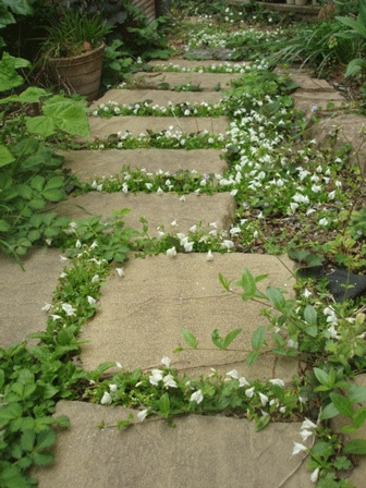 c0129702_20271022.gif