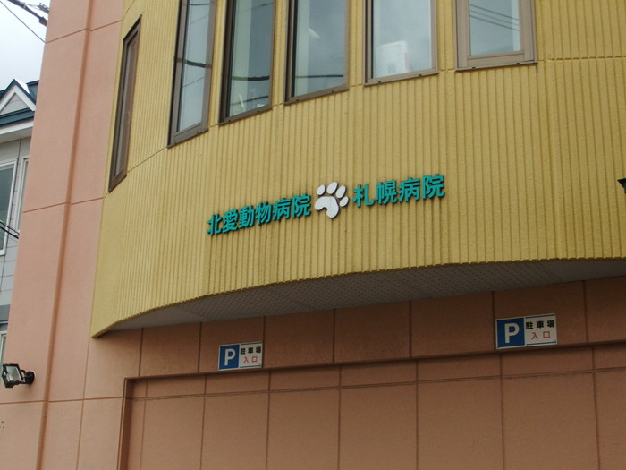 カワイイ肉球に御用心!!_c0226202_22141053.jpg