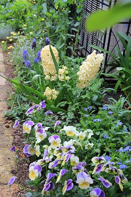 東の通路で咲いているお花達～♪_a0123003_0112982.jpg