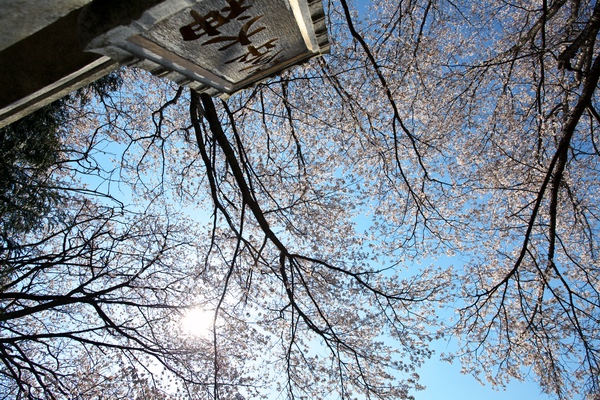 c0043403_20101561.jpg