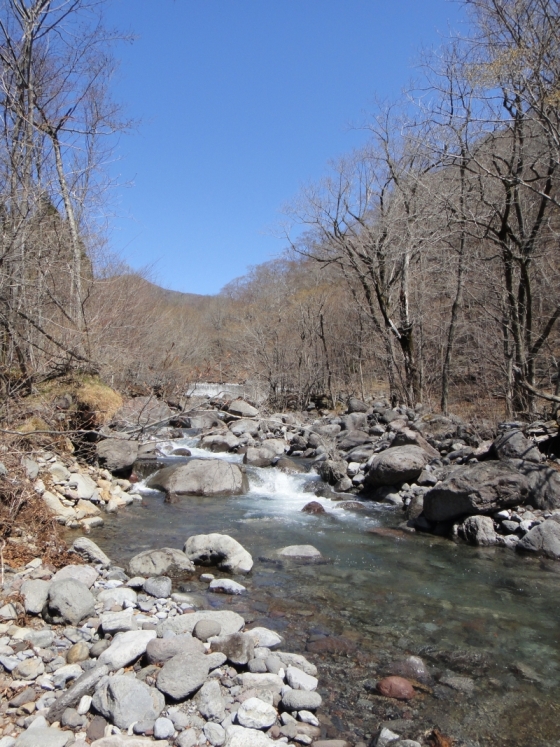 b0172805_102346.jpg