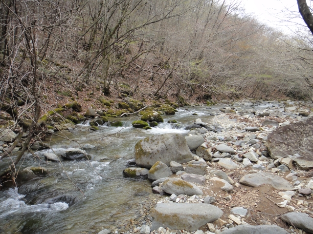 b0172805_10342260.jpg