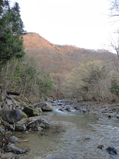 b0172805_10353981.jpg