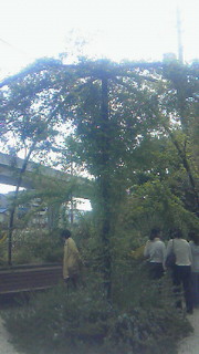 d0165505_0221837.jpg