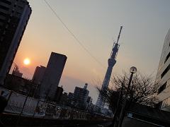 スカイツリーと夕日。_d0058606_1636244.jpg