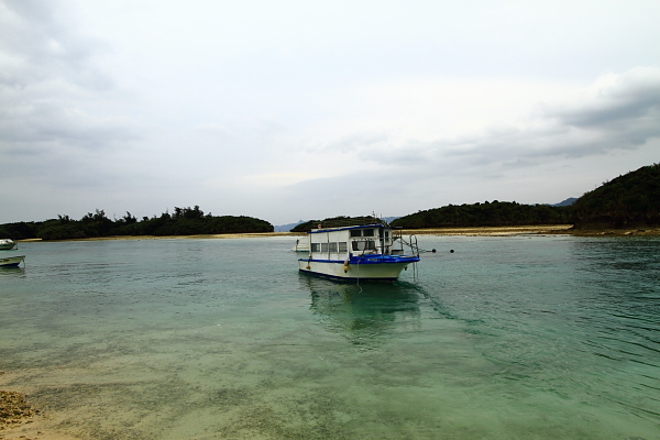 e0174008_1123818.jpg