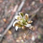 e0032609_214546.jpg