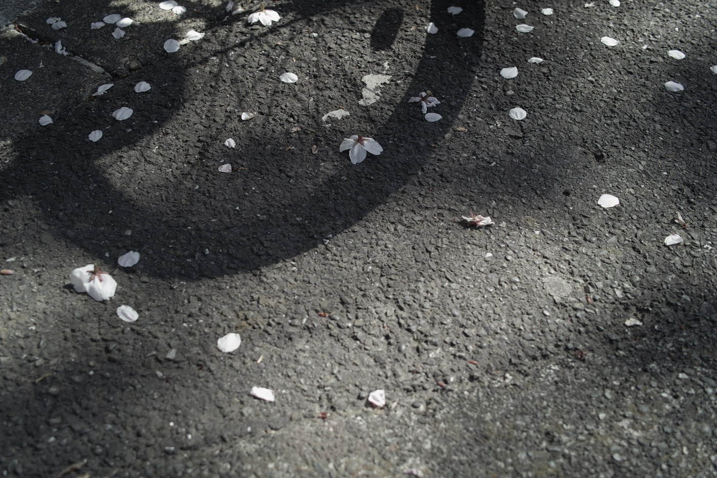c0213117_0163313.jpg