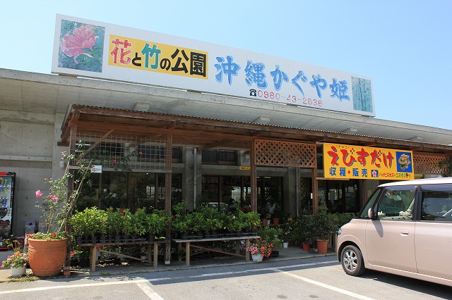 沖縄かぐや姫って何だ 東京下町日常物語 沖縄から東京へ 沖縄かぐや姫って何だ 東京下町日常物語 沖縄から東京へ