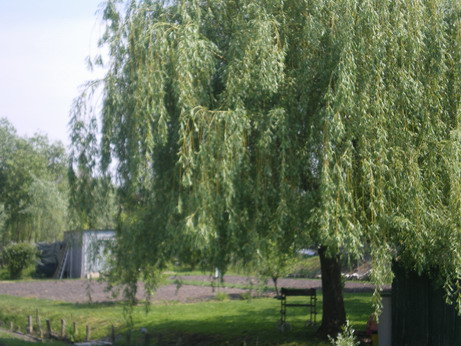 c0124619_23392211.jpg