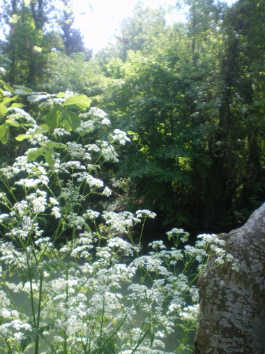 c0124619_23451385.jpg