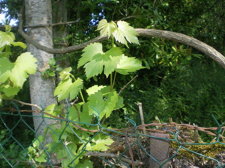 c0124619_23454928.jpg