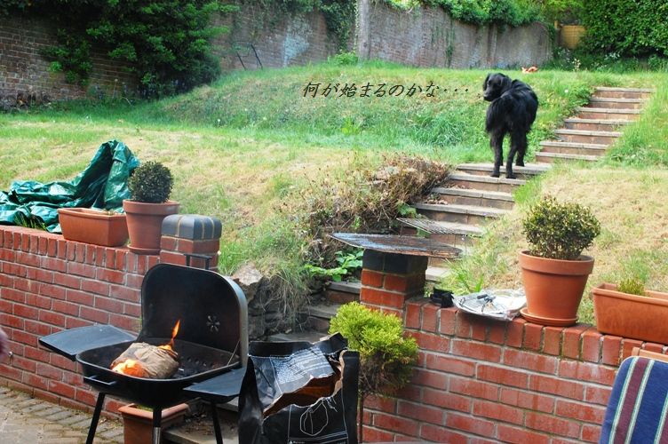 アスパラとちくわぶのおつまみフライ_d0104926_113172.jpg