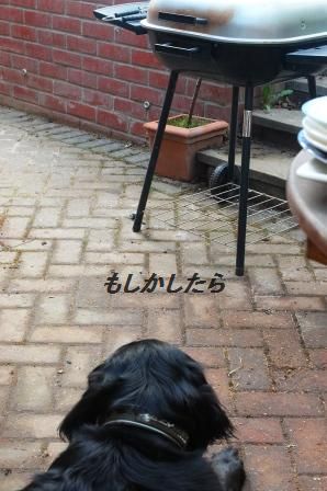 アスパラとちくわぶのおつまみフライ_d0104926_115343.jpg