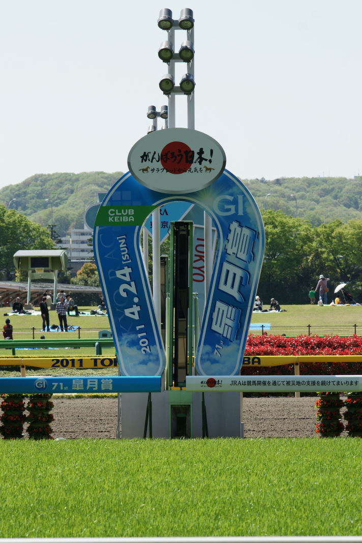 府中に競馬が戻ってきた。_a0035333_20142852.jpg