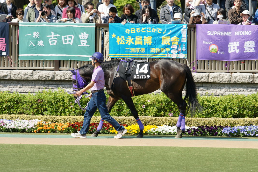 府中に競馬が戻ってきた。_a0035333_2017429.jpg