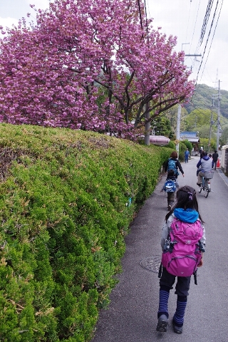 c0113733_1114416.jpg