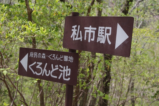c0113733_1122145.jpg