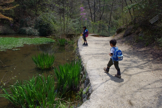 c0113733_116518.jpg