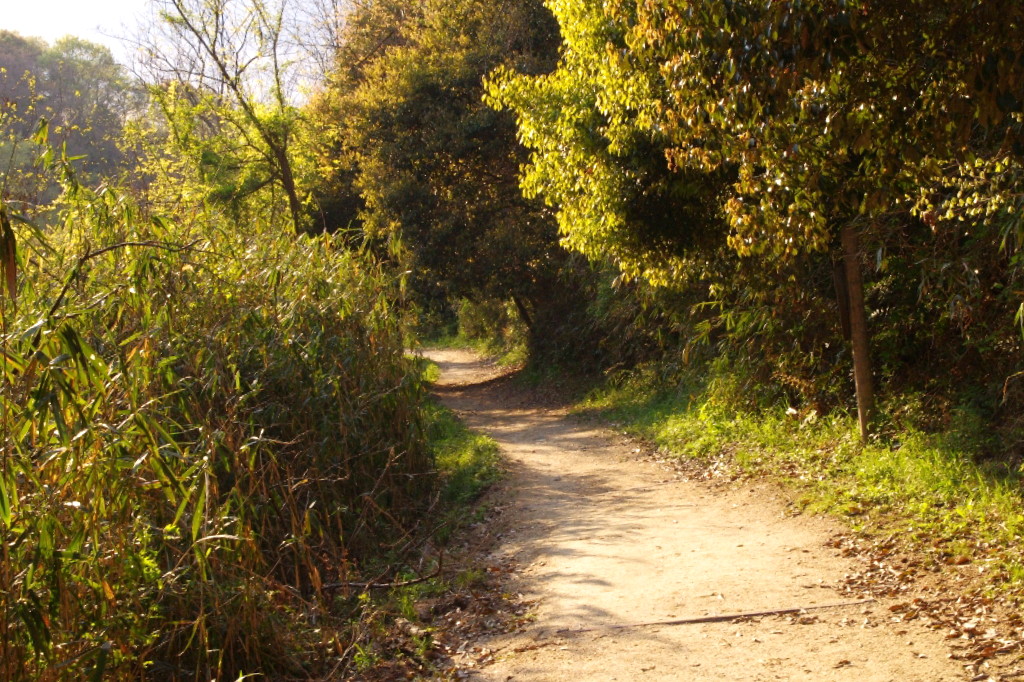 c0113733_1301444.jpg