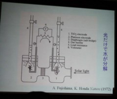 e0211937_932816.jpg