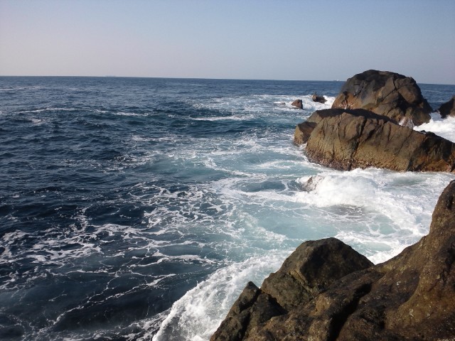 f0009238_20763.jpg