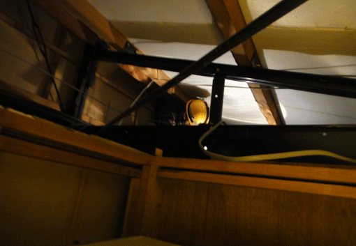a0056140_161722.gif