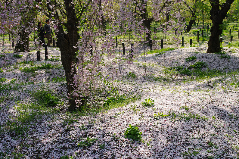 f0152550_21481877.jpg