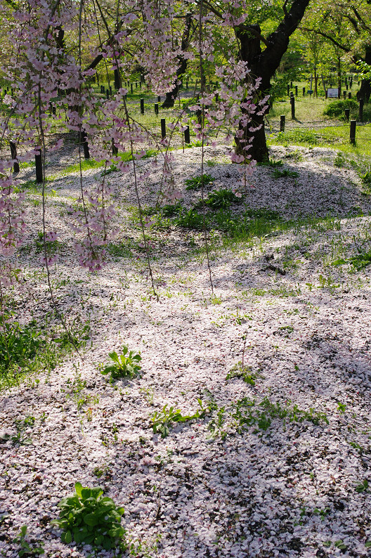 f0152550_214885.jpg