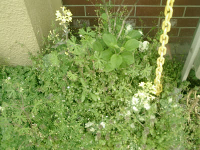 e0033751_1902197.jpg