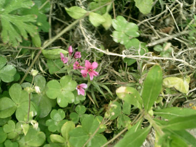 e0033751_1931826.jpg