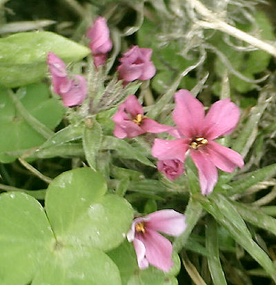 e0033751_1934072.jpg