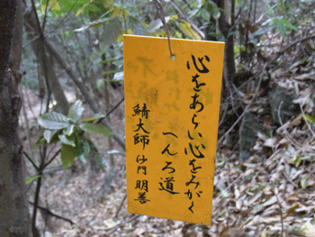 a0044453_10183278.gif
