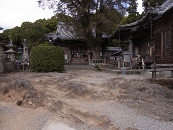 a0044453_10212696.gif