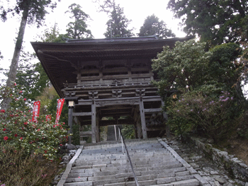 a0044453_11125135.gif